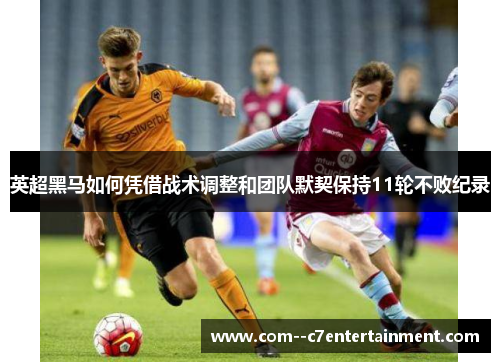 英超黑马如何凭借战术调整和团队默契保持11轮不败纪录 英超黑马如何凭借战术调整和团队默契保持11轮不败纪录