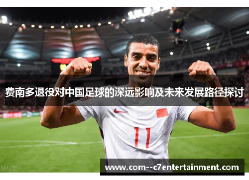 费南多退役对中国足球的深远影响及未来发展路径探讨